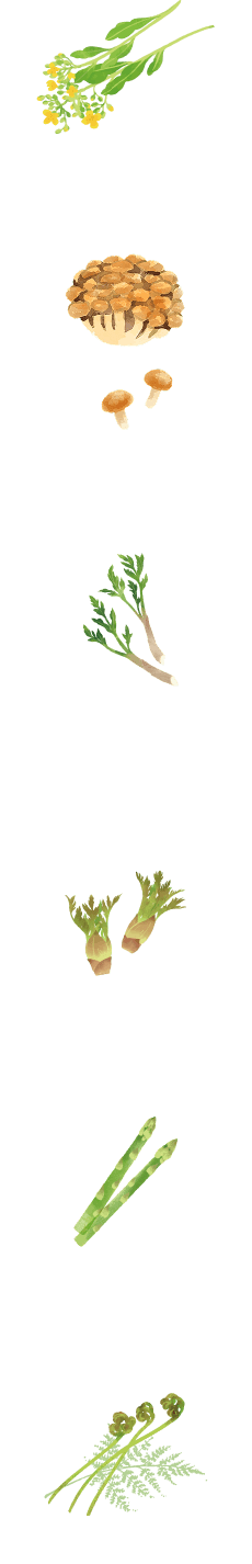 山菜・きのこのイラスト